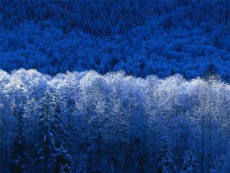 c est froid dans l hiver